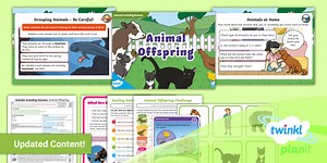 Science: Animals Including Humans: Animal Offspring Year 2 Lesson 1