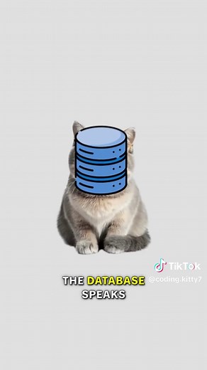 ORM Explained by Cats: Your App's SQL Translator