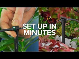 The Perfect Irrigation Kit for Beginners | PC Drippers Made Simple