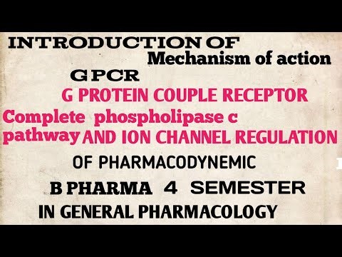 "GPCR : Complete Phospholipase Pathway & Ion Channel Regulation Explained | Pharmacology" (part 3)