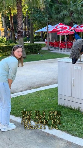 Hidden Park in Faro with Friendly Peacocks 🦚 | Algarve Portugal