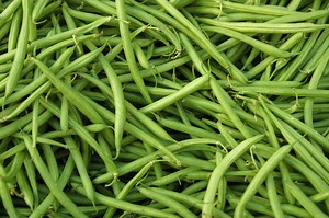 How to Treat Insect Pests on String Beans