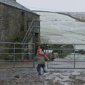 2.7M views · 13K reactions | Just wait until you see how four-year-old Clemmy gets the sheep back in the field on Christmas day    | Channel 5 | Facebook