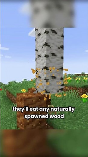Termite in Minecraft