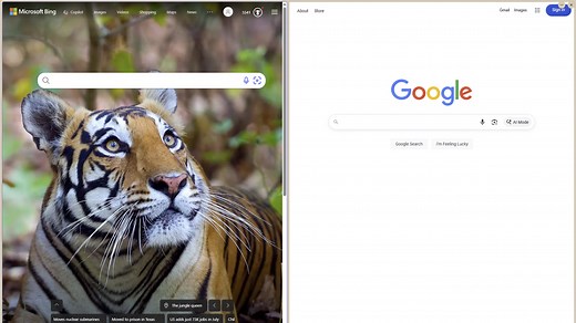 The Battle for Your Search Bar: Bing vs. Google