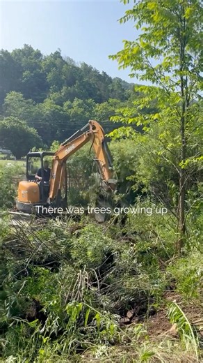 294K views · 1.5K reactions | We cleaned this whole pond out without...