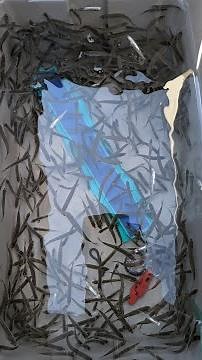 Minnow Cooler - Keep minnows alive for days!