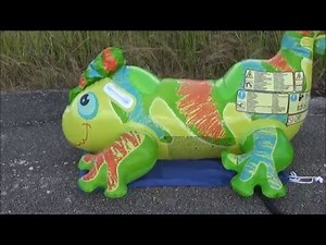 An Overinflated Intex Gecko Pops