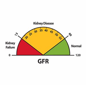 What is eGFR  Test ?  For what purpose its done?