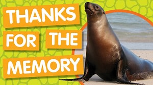 Amazing Animals: Thanks for the Memory