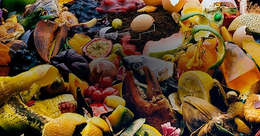 How to use food waste for good