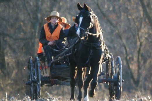 5 Facts On The Amish & Hunting - Amish America