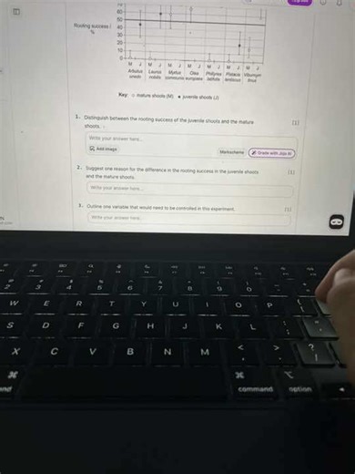 getrevisiondojo บน TikTok