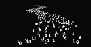 Quantum Computers Could Be True Randomness Generators