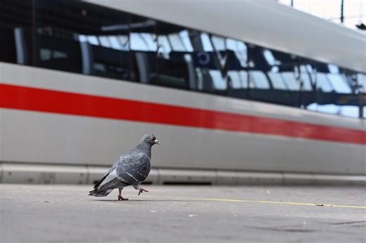 Deutsche Bahn: Die Geschichte des deutschen Eisenbahnkonzerns