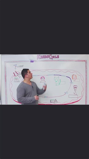 Krebs cycle #ninjanerd #ninjanerdlectures #ninjanerdofficial #medicalstudent #mbbsstudent #biochemsitry #highyieldstudy