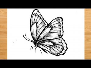 How to Draw a Butterfly Step by Step 🦋 | Easy Butterfly Drawing Tutorial