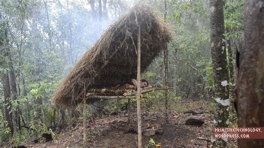 Making a Primitive Bed Shed