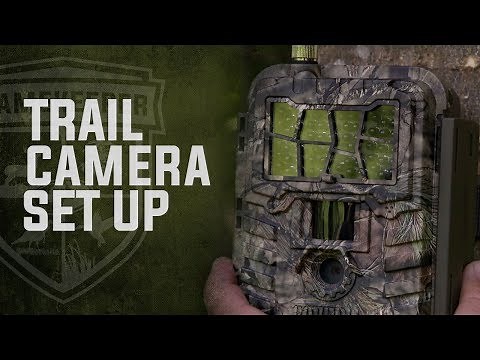 How To Set Up Trail Cameras