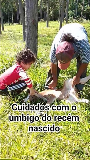 Parte 3 #vidanaroça #gadodecorte