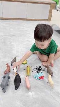 Me Vê Thách Đố Zino Biết Các Bạn Động Vật Nào ? #veve #zino #baby