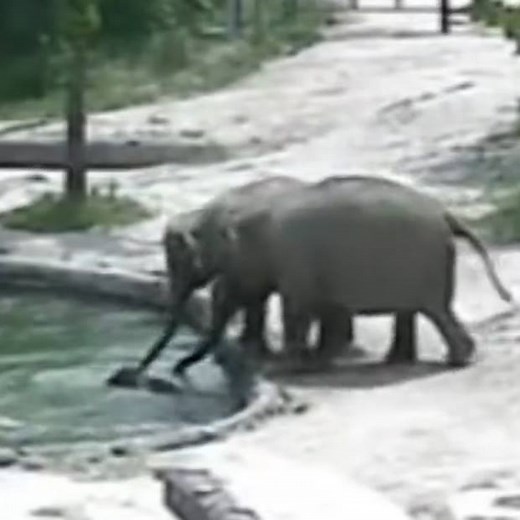 11M views · 70K reactions | An amazing team rescue effort! | The Telegraph | Facebook