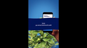 Apply for Amex® Business Line of Credit. If approved, get help growing your business. Terms apply. | American Express Business