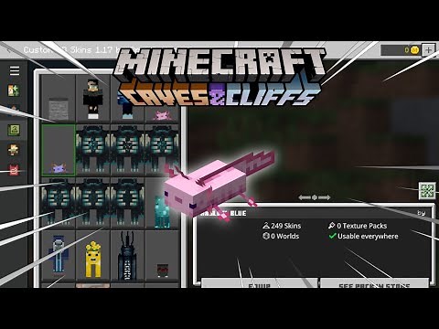 Minecraft PE 1.18 4D Mobs Skin | Project 8