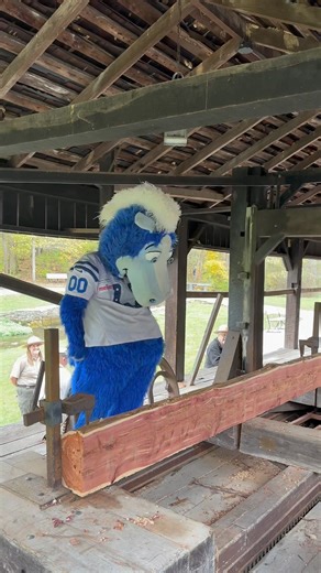 blue the builder | Blue Indianapolis Colts Mascot