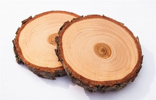 How To Preserve Wood Slices From Drying Out | Cut The Wood