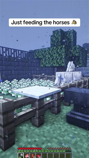 Feeding Horses in Minecraft: A Quick Guide