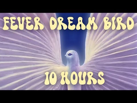 Fever Dream Bird 10 Hours