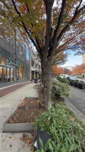 Downtown Bethesda Vibes | It’s Okay 🌤️✨ #peacefulmoments