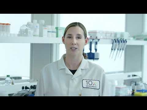 Visium Tissue Optimization Protocol | Tissue Fixation