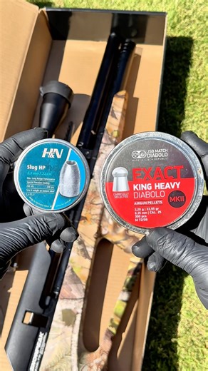 JSB Pellets vs H&N Slugs #airgun #airgunning