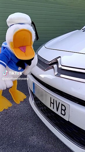Donald Duck Encounter with Airplane Engine