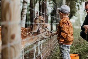 Are Zoos Cruel To Animals? - Cruelty Free Soul
