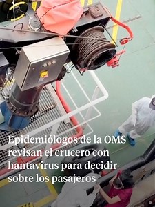 Brote de hantavirus en el crucero MV Hondius: 7 posibles casos y 3 muertos