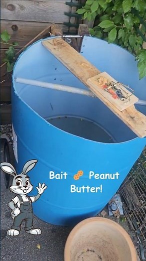 DIY Rat Trap: Quick & Easy Build! 🐭🛠️