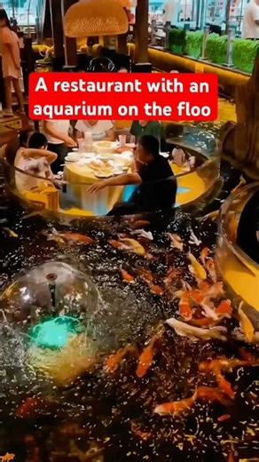A restaurant with an aquarium on the floor