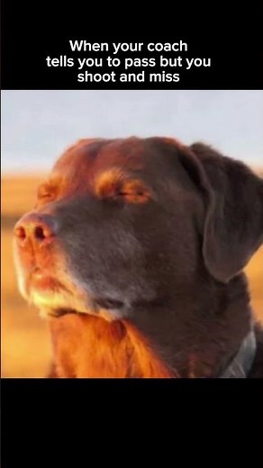Cooked Dog Meme