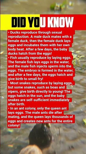 Animal and bird breeding methods: The triumph of diversity in nature!