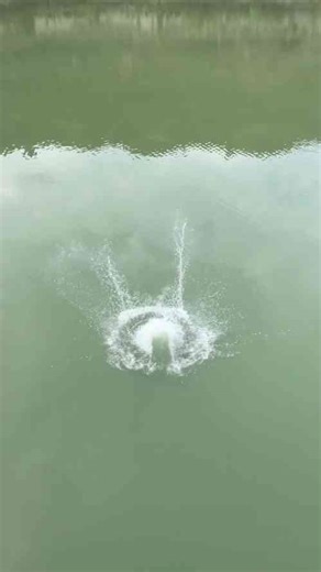 Bridge Rope Swing Fail Over Beautiful Lake