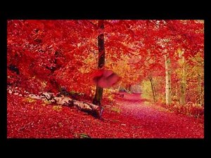 疲れがなくなる音楽 癒し世界 【 Feel the Red】 RELAX music 癒し ヒーリング