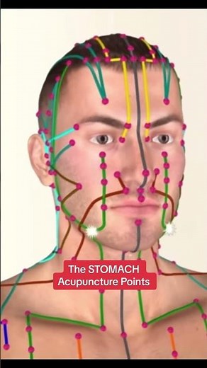 Stomach Meridian Acupuncture points & channel pathway #acupuncturepoints