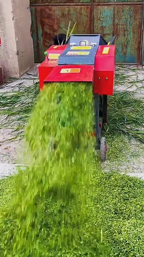 #Home-based small-scale farming# chaff cutter and shredder | New Tecnology