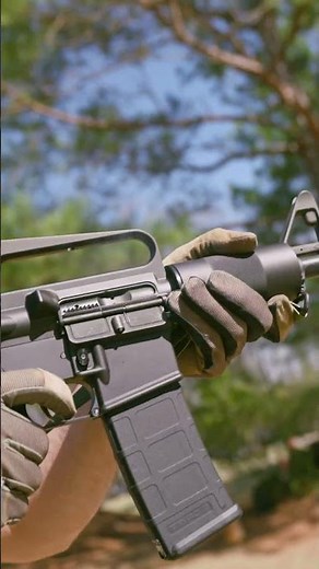 TOUCH GRASS FRIDAY - DPMS KITTY KAT 300BLKOUT EDITION | Palmetto State Armory #touchgrass #tgif