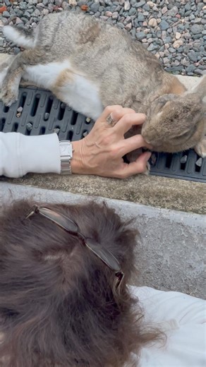 528K views · 10K reactions | En quelques jours, l’état de santé...