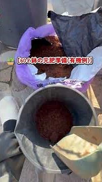 2月の元肥｜鉢植えラズベリー施肥計画🍇【有機＆化成のやり方／リメイク版】