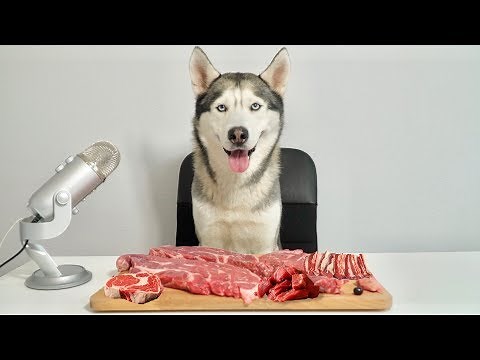 ASMR Husky Reviewing Raw Beef Meat Parts!